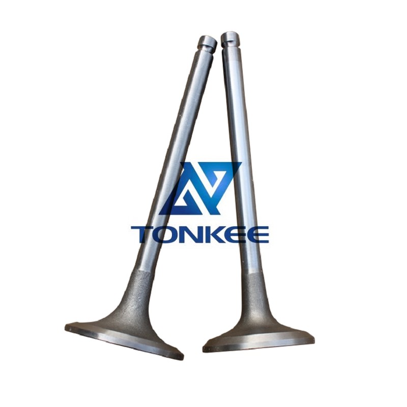 OEM Cummins Parts-4BT 6BT 6CT M11 NTA855 K19 K38 K50 Cylinder Head Intake  Exhaust Valve | Tonkee®